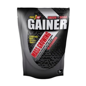 Power Pro Gainer — 1000 г Ягідний мікс
