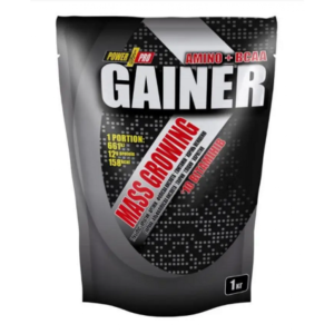 Power Pro Gainer — 1000 г з чорницею