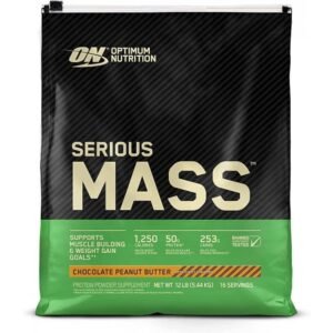Optimum Nutrition Serious Mass — 5450 г шоколадно-мятний