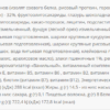 Power Pro Vegan Bar 32% білка — 20x60г